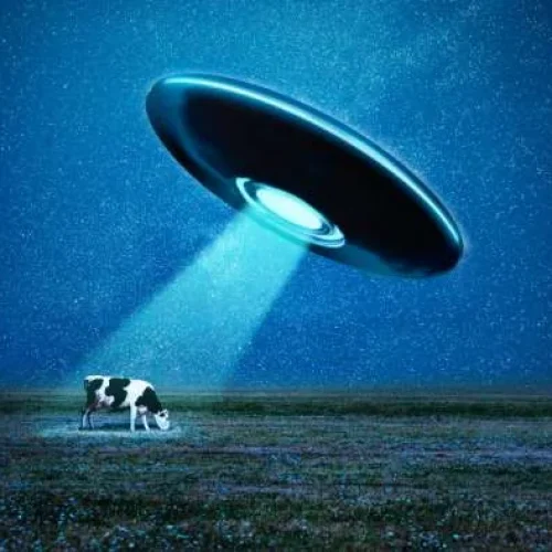What Question Would You Ask an Alien Civilisation?